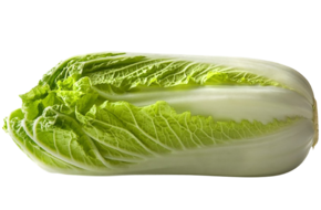 Chinese kool (AGF) - link naar productpagina