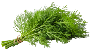 Dill (O&G) - link to product page