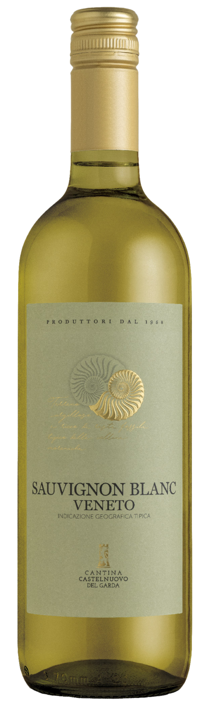 Sauvignon Blanc Veneto IGT Sauvignon Blanc Veneto IGT