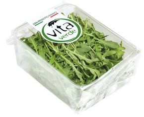 Rucola Salat - link to product page