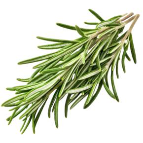 Rosmarin (O&G) - link to product page