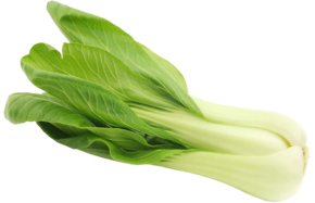 Paksoi (AGF) - link naar productpagina