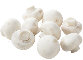 Champignon (O&G) - link to product page