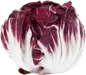 Radicchio Rosso Salat - link to product page