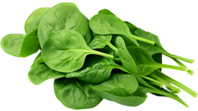 AGF Bladspinazie - link naar productpagina