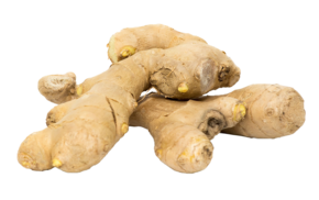 Ingwer (O&G) - link to product page