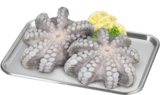 Octopus bloem - link to product page