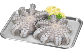 Octopus bloem - link naar productpagina
