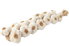 Knoblauch (O&G) - link to product page