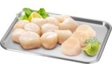 Scallops - link to product page