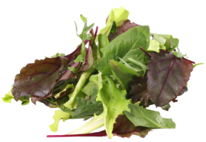 AGF Mesclun Sla - link naar productpagina