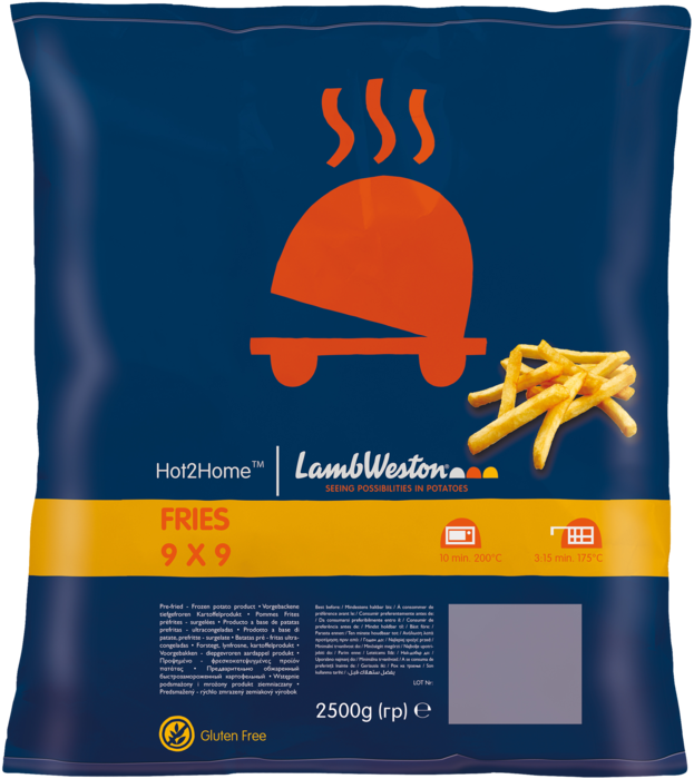 Hot2Home fries main product photo