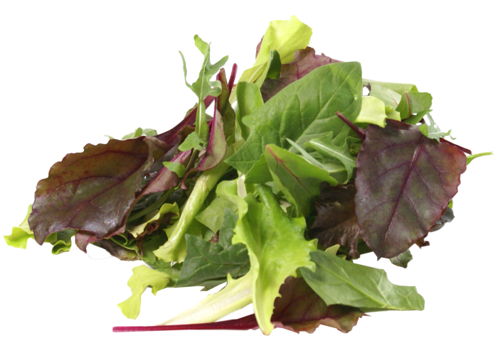 Salat Mesclun (O&G) main product photo