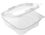 Salad trays with lid - link to product page