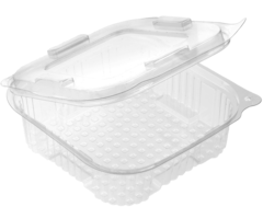 Salad trays with lid