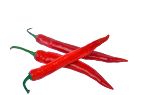 Chili Schoten - link to product page
