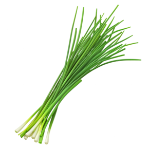 Schnittlauch (O&G) - link to product page