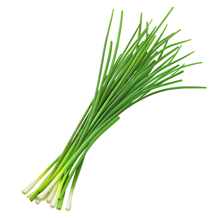 Schnittlauch (O&G) main product photo
