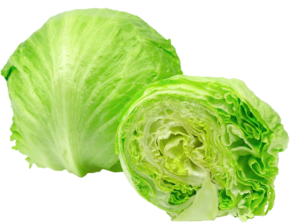 IJsbergsla (AGF) - link naar productpagina