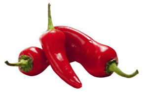 Chilischote rot - link to product page